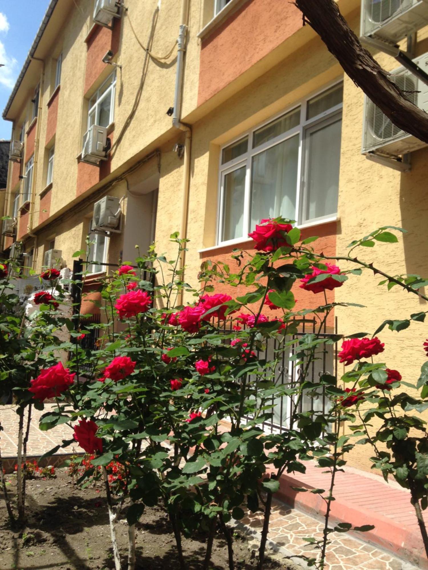 Sultanahmet Deluxe Yilmaz Apart Istanbul Ngoại thất bức ảnh